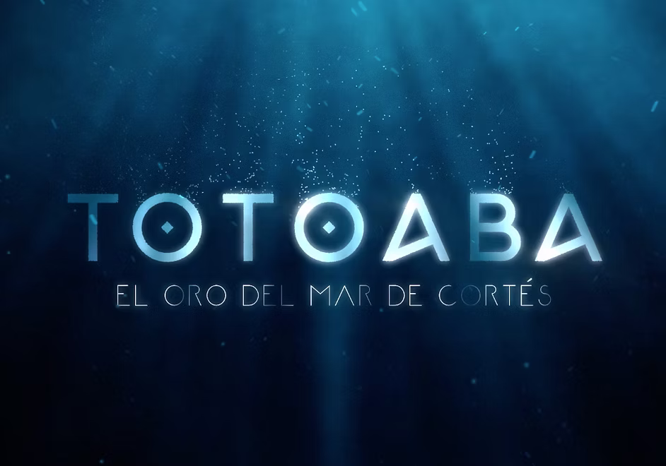 Totoaba Poster